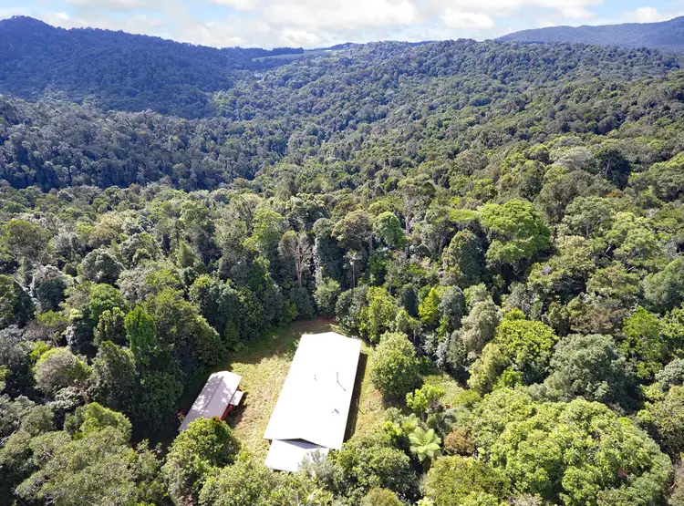 Main view of Homely rural property listing, 1556 Beatrice Way, Ravenshoe QLD 4888