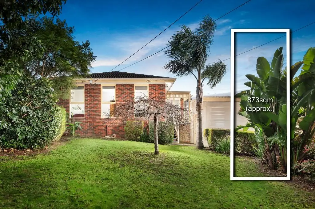 Main view of Homely house listing, 41 Mangans Road, Lilydale VIC 3140