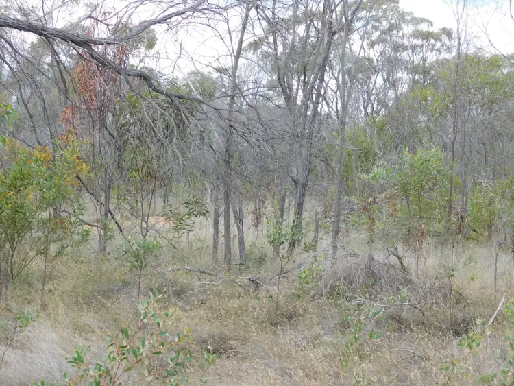Seventh view of Homely rural property listing, 0 North Kogan Road, Kogan QLD 4406