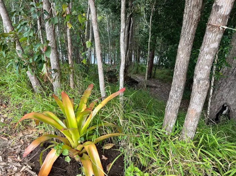Fourth view of Homely land listing, 47 Exmouth Access Lane, Magnolia QLD 4650
