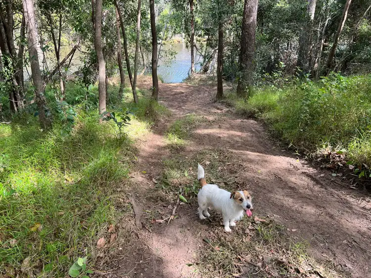 Sixth view of Homely land listing, 47 Exmouth Access Lane, Magnolia QLD 4650