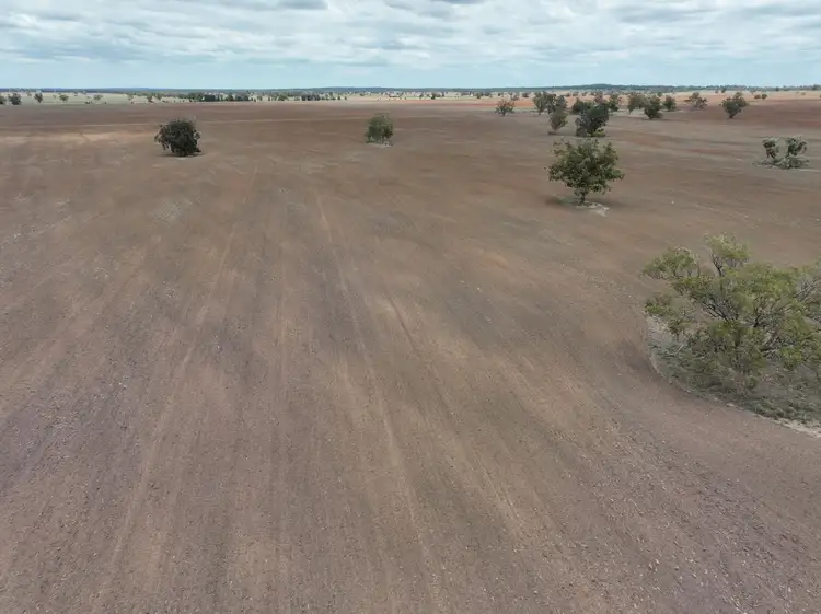 Main view of Homely rural property listing, 'Weemala' 2075 The McGrane Way, Tullamore NSW 2874
