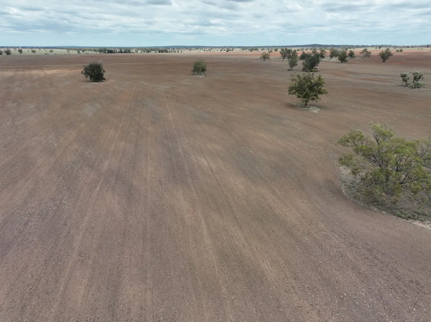 Main view of Homely rural property listing, 'Weemala' 2075 The McGrane Way, Tullamore NSW 2874