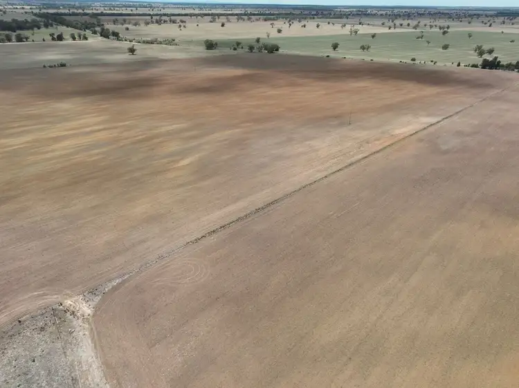 Third view of Homely rural property listing, 'Weemala' 2075 The McGrane Way, Tullamore NSW 2874
