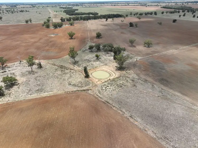 Fourth view of Homely rural property listing, 'Weemala' 2075 The McGrane Way, Tullamore NSW 2874