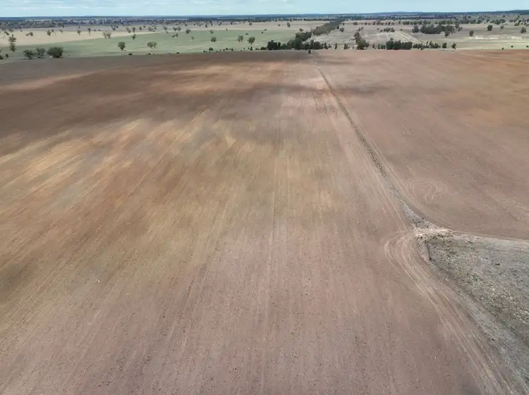Fifth view of Homely rural property listing, 'Weemala' 2075 The McGrane Way, Tullamore NSW 2874