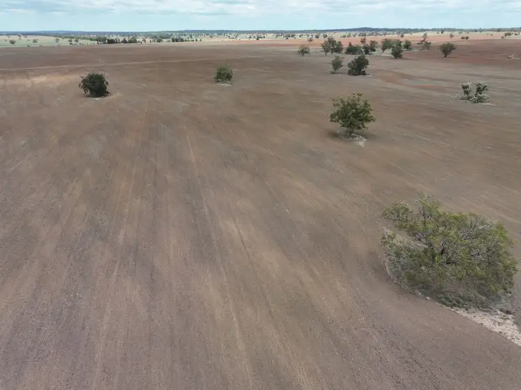 Sixth view of Homely rural property listing, 'Weemala' 2075 The McGrane Way, Tullamore NSW 2874