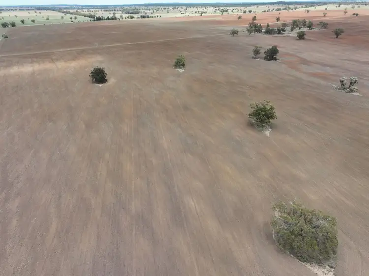 Seventh view of Homely rural property listing, 'Weemala' 2075 The McGrane Way, Tullamore NSW 2874