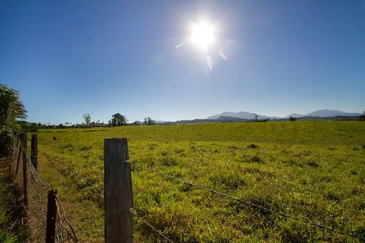 Sixth view of Homely house listing, YP340 Palmerston Highway, Palmerston QLD 4860