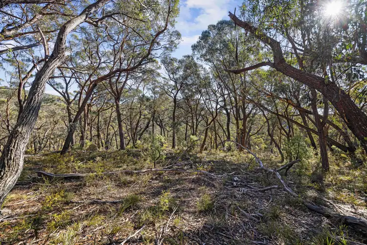 Main view of Homely rural property listing, 976 Mares Forest Road, Taralga NSW 2580