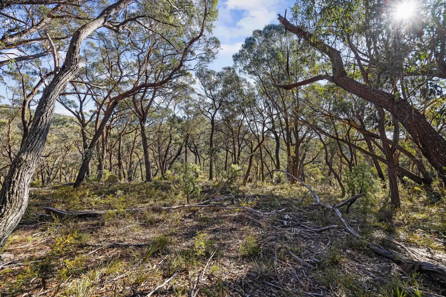Main view of Homely rural property listing, 976 Mares Forest Road, Taralga NSW 2580