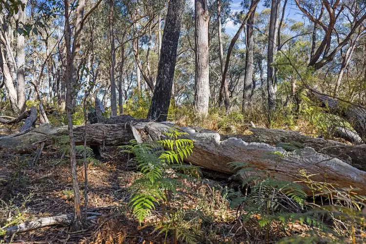 Second view of Homely rural property listing, 976 Mares Forest Road, Taralga NSW 2580