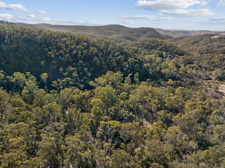 Third view of Homely rural property listing, 976 Mares Forest Road, Taralga NSW 2580