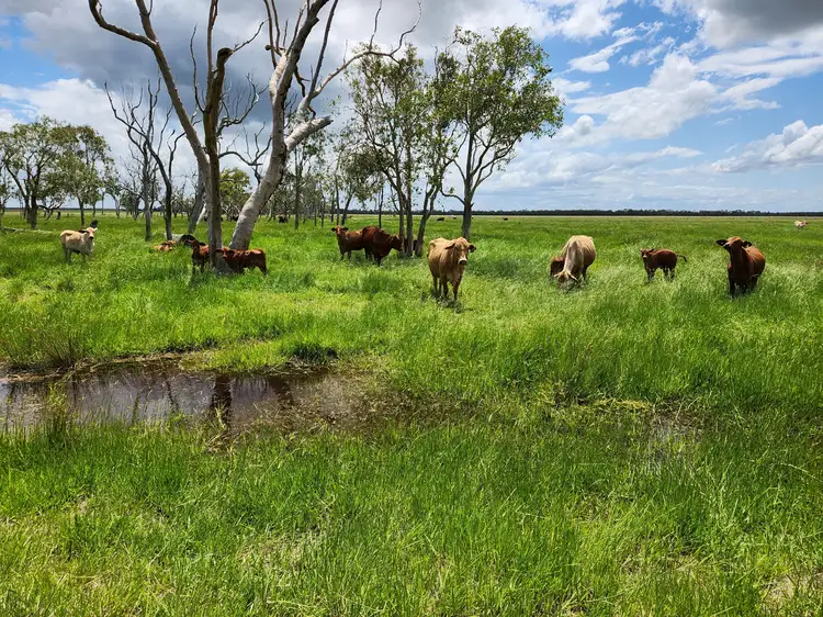 Second view of Homely rural property listing, 458 Dimond Road, BEAVER ROCK, Maryborough QLD 4650