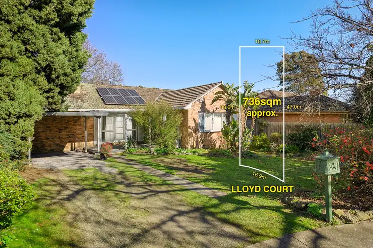 4 Lloyd Court, Blackburn South VIC 3130