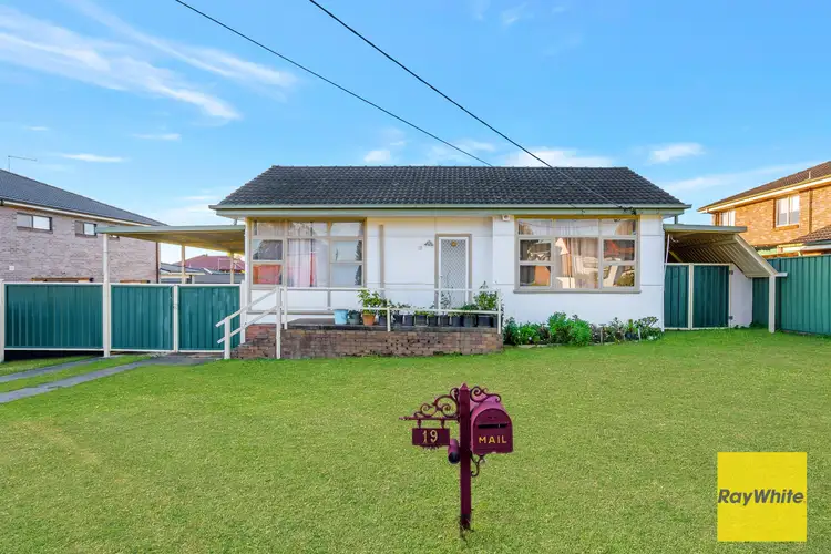19 Pritchard Street, Mount Pritchard NSW 2170