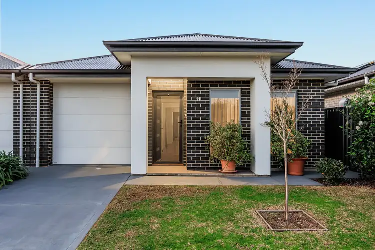 11 Allison Street, Ascot Park SA 5043