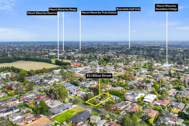 Second view of Homely house listing, 81 Hilton Street, Mount Waverley VIC 3149
