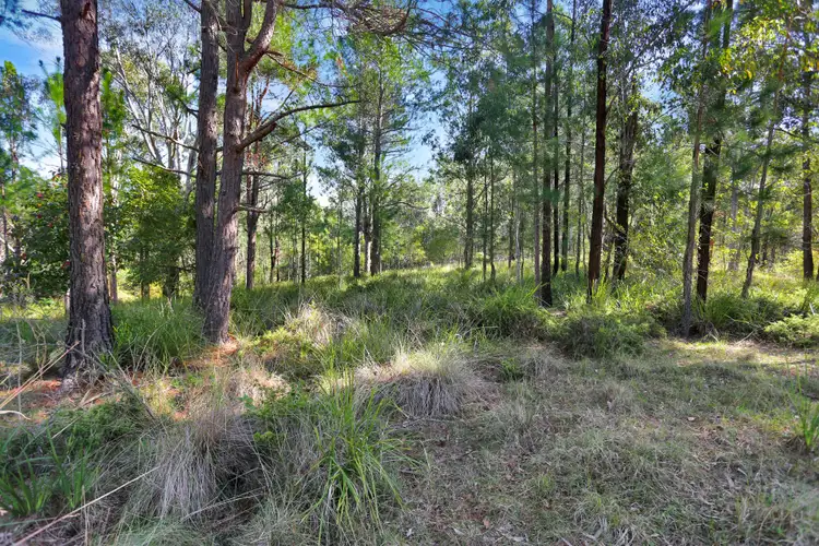 Fourth view of Homely land listing, 179 Viney Creek Road, Tea Gardens NSW 2324