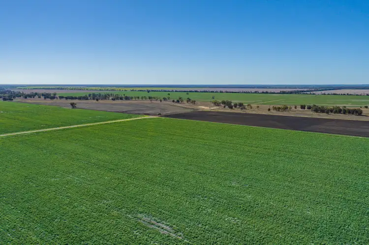 28994 Newell Highway, Tulloona NSW 2400
