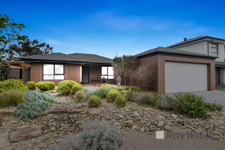 11 Baileyana Drive, Endeavour Hills VIC 3802