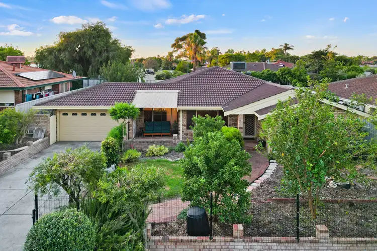 Second view of Homely house listing, 19 Elanora Drive, Cooloongup WA 6168