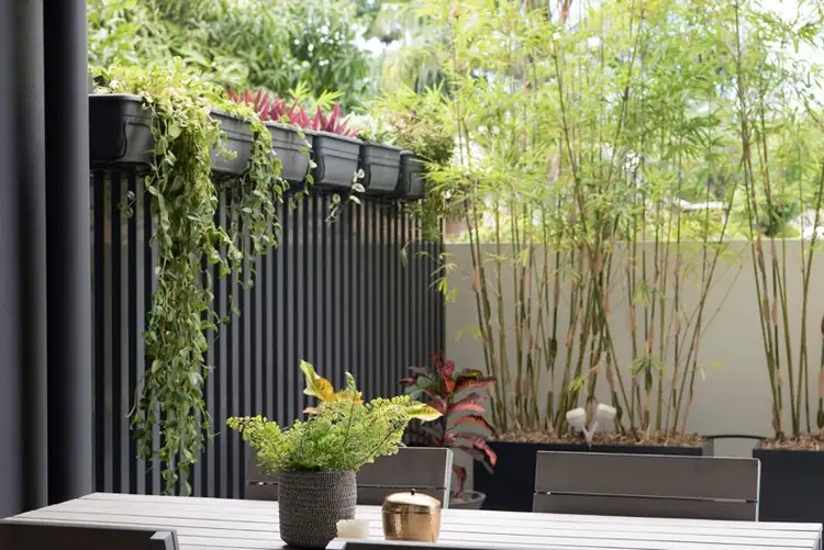 106/57 Annie Street, New Farm QLD 4005