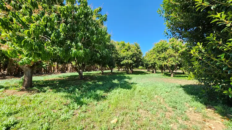 Seventh view of Homely house listing, 1035 North West Coastal Highway, Carnarvon WA 6701