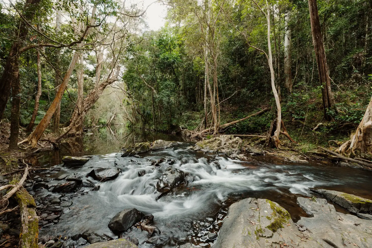 Main view of Homely house listing, 39 Forest Close, Speewah QLD 4881