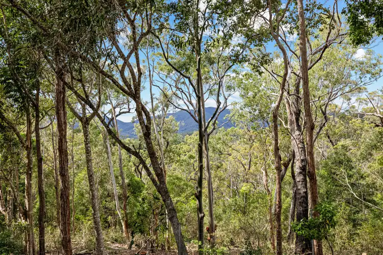 Fourth view of Homely house listing, 39 Forest Close, Speewah QLD 4881