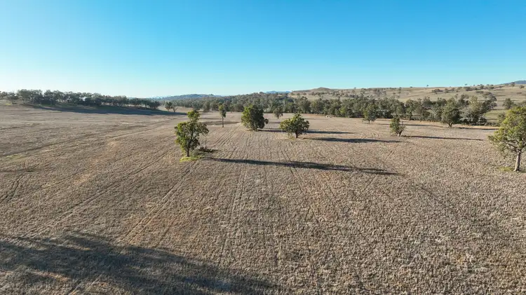 Main view of Homely rural property listing, Tarwarri Lindsay's Gap Road, Tamworth NSW 2340