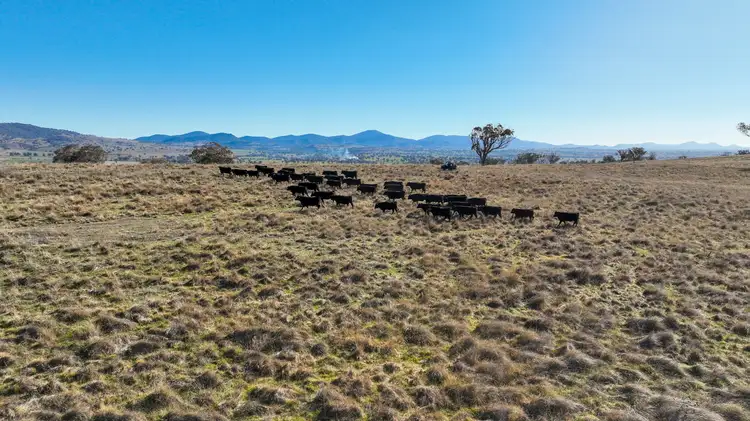 Seventh view of Homely rural property listing, Tarwarri Lindsay's Gap Road, Tamworth NSW 2340