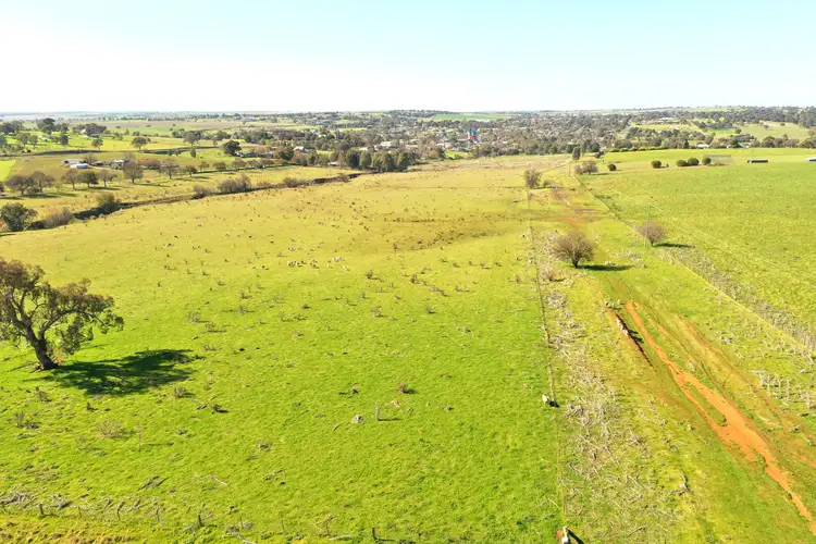 Third view of Homely land listing, LOT 255, 256 & 257 Araluen Road, Murrumburrah NSW 2587
