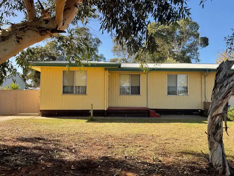 3 Dunning Street, Waikerie SA 5330