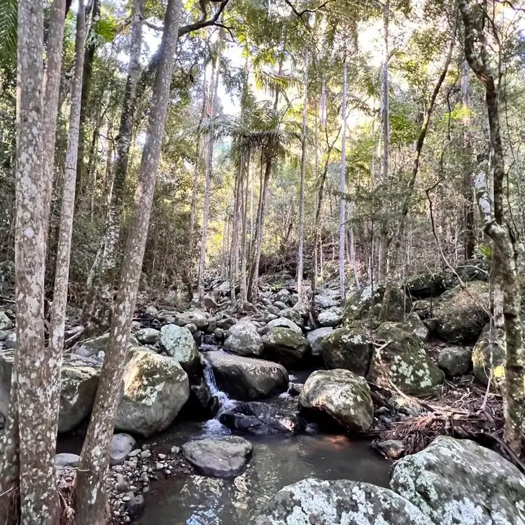 Second view of Homely land listing, 13 Jaraman Place, Boyland QLD 4275
