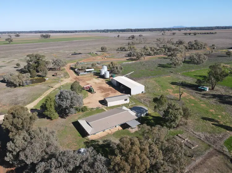 4841 Bedgerabong Road, Warroo NSW 2871