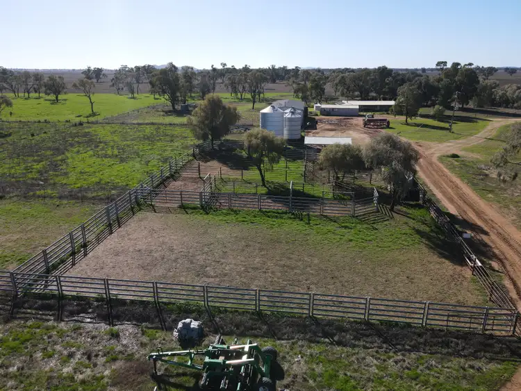 Fourth view of Homely rural property listing, 4841 Bedgerabong Road, Warroo NSW 2871