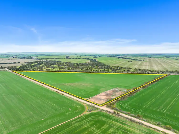 Main view of Homely rural property listing, 'Shepherd's' Balaklava Road, Balaklava SA 5461