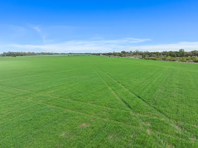 Fourth view of Homely rural property listing, 'Shepherd's' Balaklava Road, Balaklava SA 5461