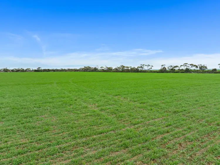 Fifth view of Homely rural property listing, 'Shepherd's' Balaklava Road, Balaklava SA 5461