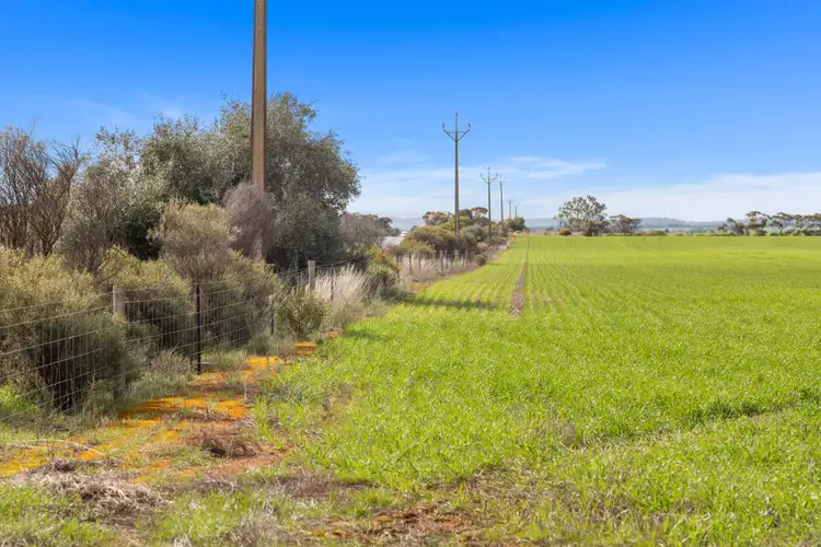 Seventh view of Homely rural property listing, 'Shepherd's' Balaklava Road, Balaklava SA 5461
