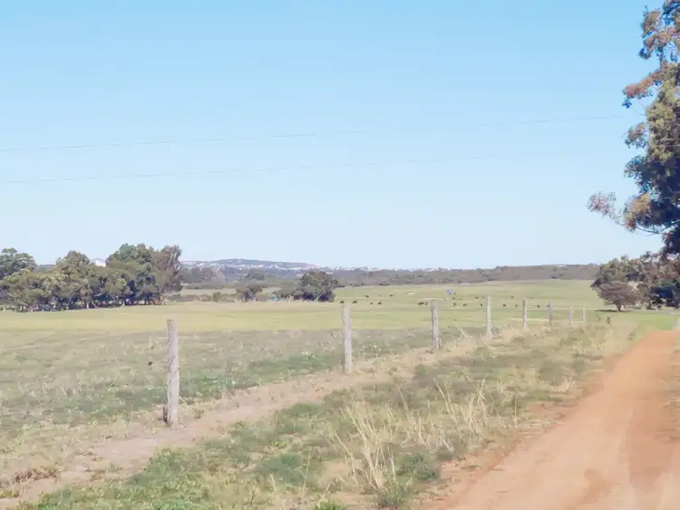 Fifth view of Homely rural property listing, Lot 382 Paterson Road, Monjingup WA 6450