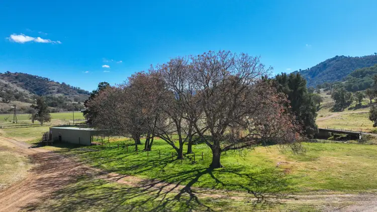 Fifth view of Homely rural property listing, 'Drumalbyn' 2039 Ogunbil Road, Tamworth NSW 2340