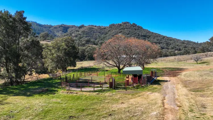 Sixth view of Homely rural property listing, 'Drumalbyn' 2039 Ogunbil Road, Tamworth NSW 2340