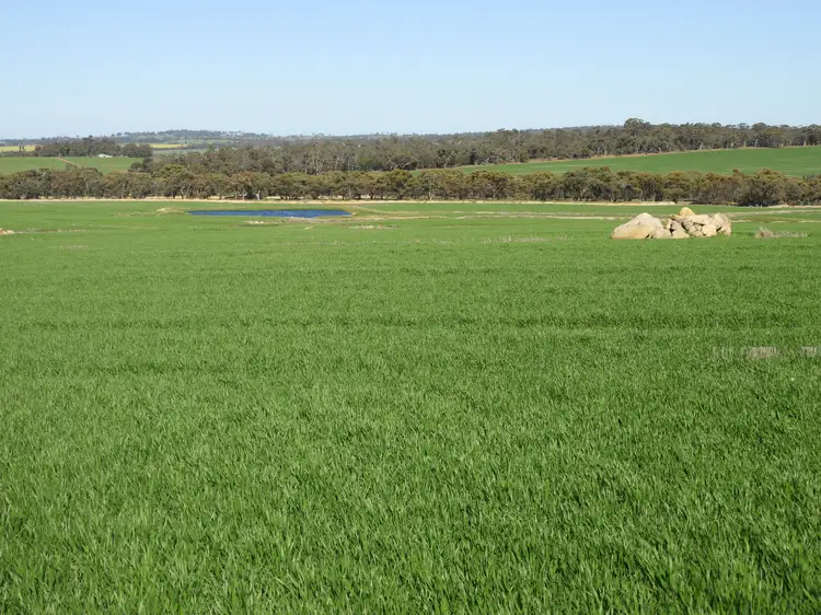 Main view of Homely rural property listing, Cloveroak Part 1, Cuballing East Road, Cuballing WA 6311