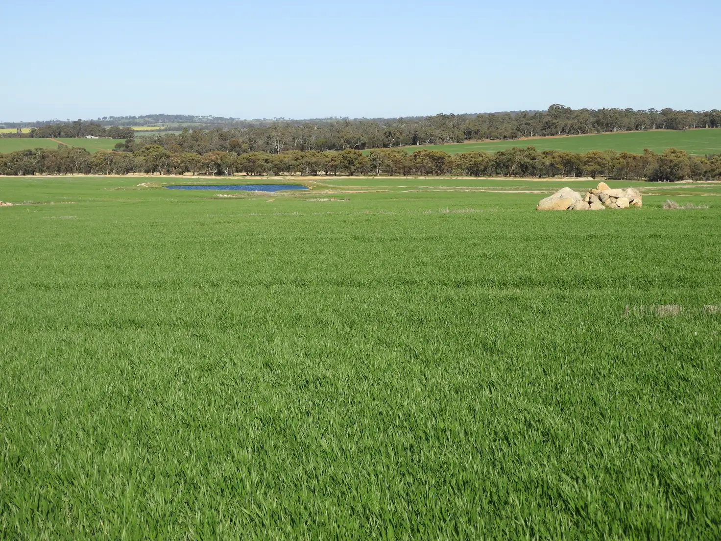 Main view of Homely rural property listing, Cloveroak Part 1, Cuballing East Road, Cuballing WA 6311