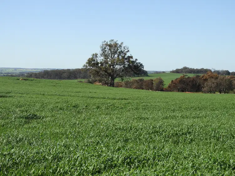 Second view of Homely rural property listing, Cloveroak Part 1, Cuballing East Road, Cuballing WA 6311