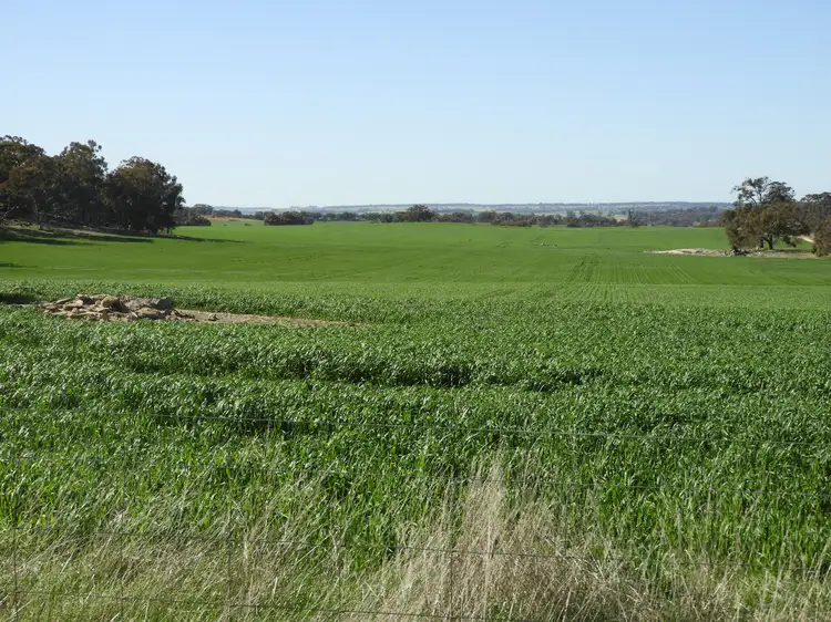 Third view of Homely rural property listing, Cloveroak Part 1, Cuballing East Road, Cuballing WA 6311