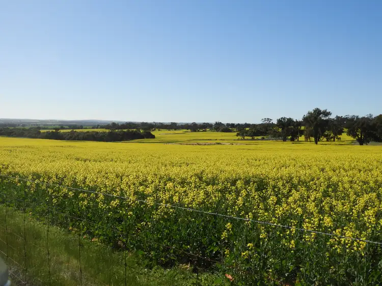Fifth view of Homely rural property listing, Cloveroak Part 1, Cuballing East Road, Cuballing WA 6311