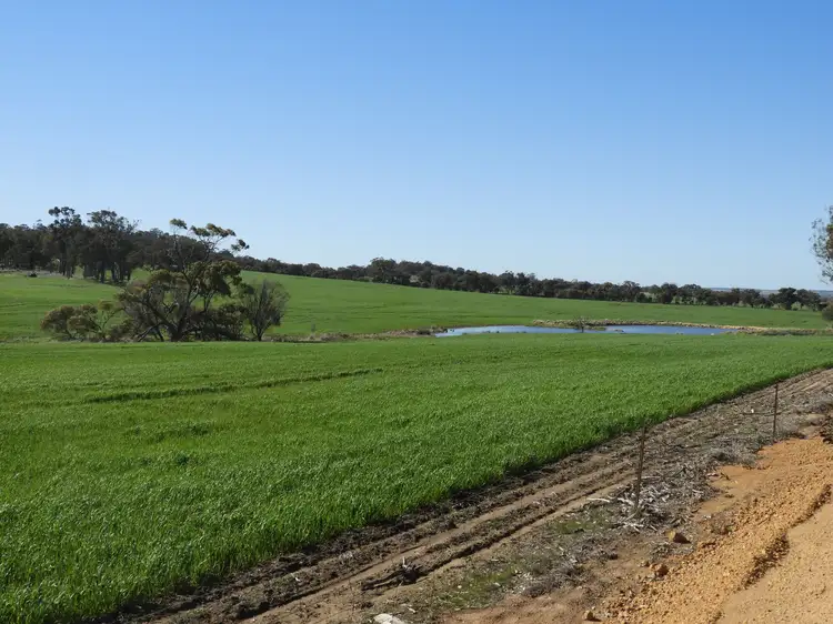 Seventh view of Homely rural property listing, Cloveroak Part 1, Cuballing East Road, Cuballing WA 6311